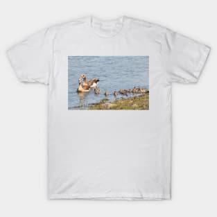 Goose Family Swimming in Kruger National Park, South Africa T-Shirt